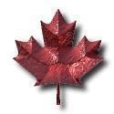Fran Klasinski Canadian Red Maple leaf